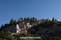 wbgarden alps 111